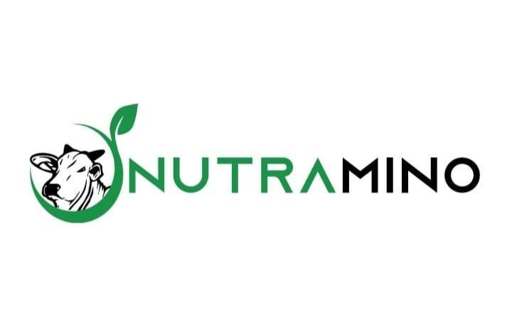 Logo 11